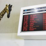 4582058598_c61ee43a25_o